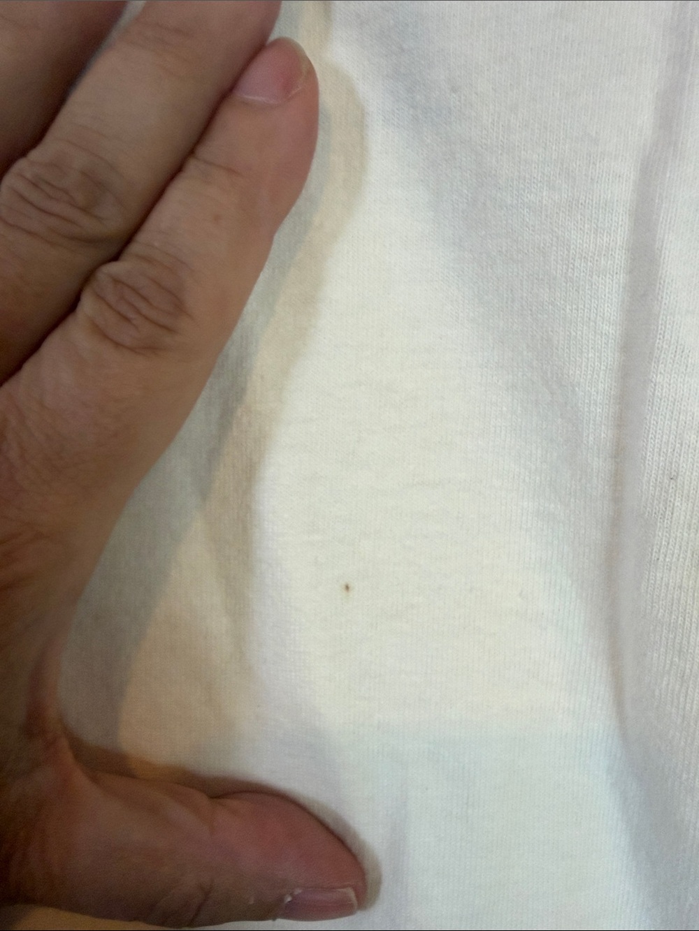 VINTAGE WHATEVER BILCAT RINGER TEE - Picture 5 of 6